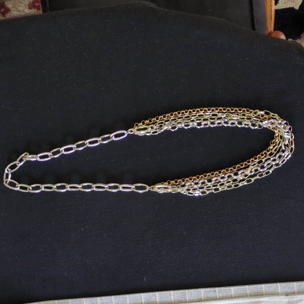 EUC Ryder Necklace
